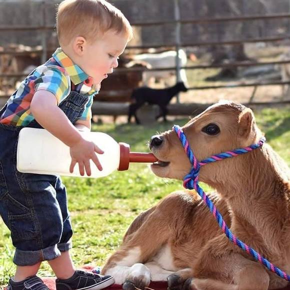 Meet your Posher, Doris sanders - Picture 1 of 1